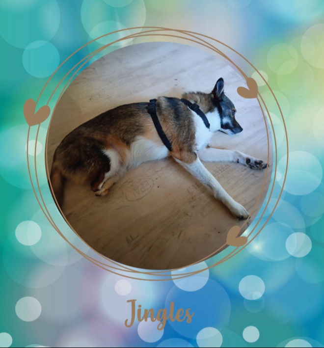 JINGLES