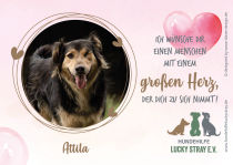 ATTILA